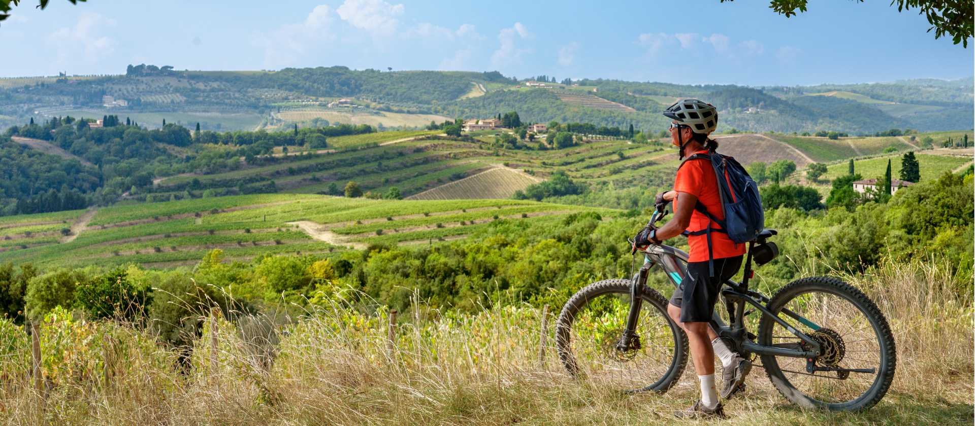Cycle through olive trees in Tuscany