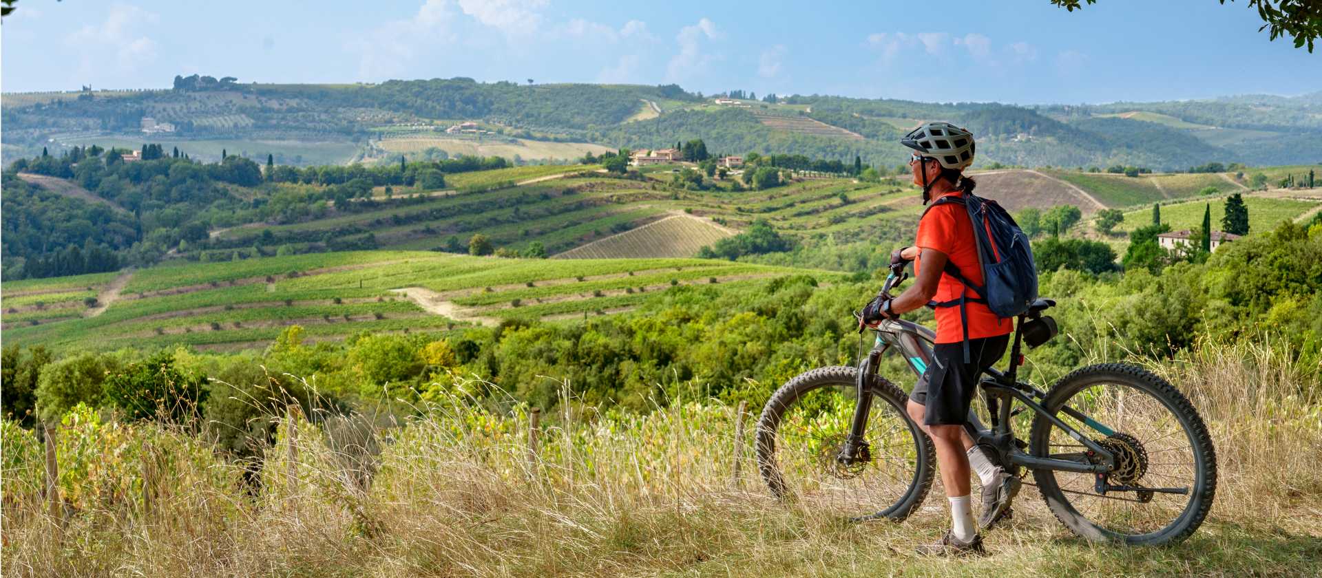Cycle through olive trees in Tuscany