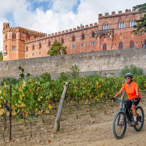 Visit Brolio Castle by bike in Tuscany