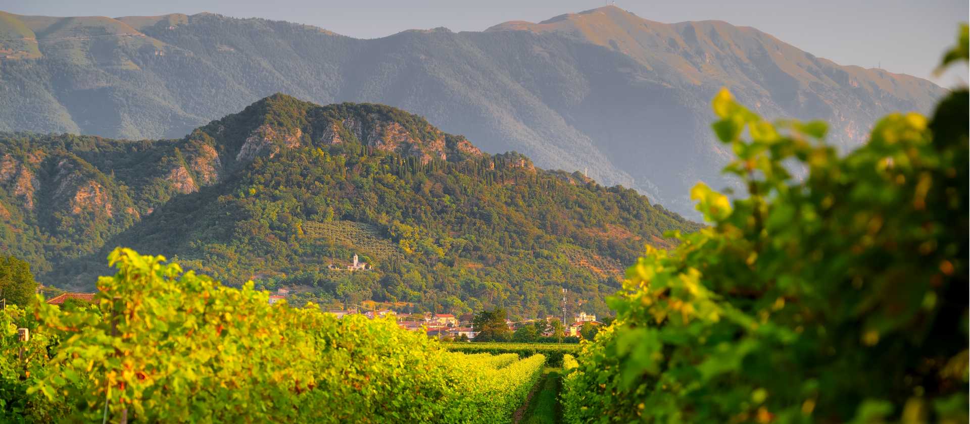 Explore the Prosecco Trail