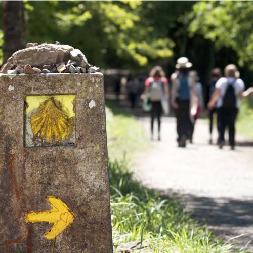 Walking the Camino de Santiago