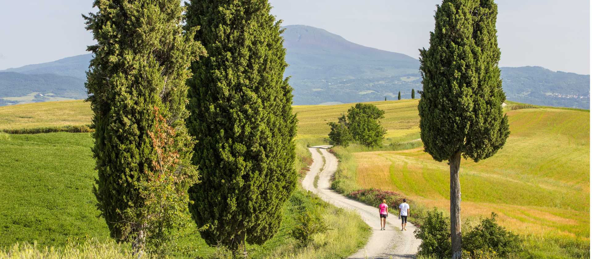 Explore Tuscany's gorgeous trails on foot