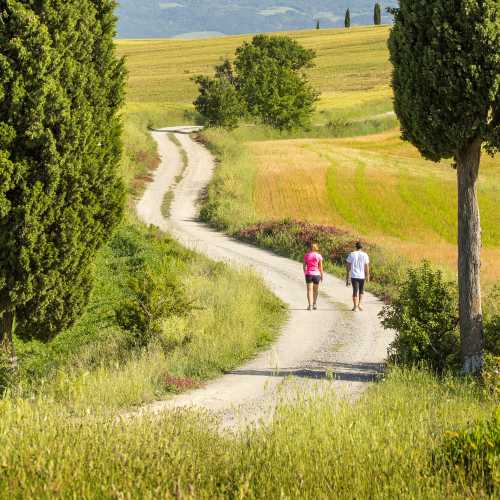 Explore Tuscany's gorgeous trails on foot