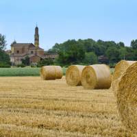 Rural landscape near Fidenza in Italy