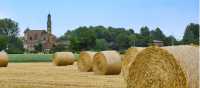 Rural landscape near Fidenza in Italy