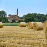 Rural landscape near Fidenza in Italy