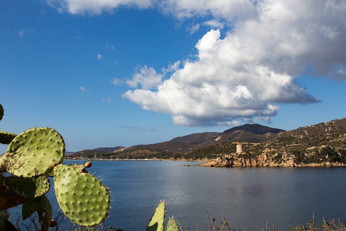 A Spanish Tower on Sardinia's South Coast