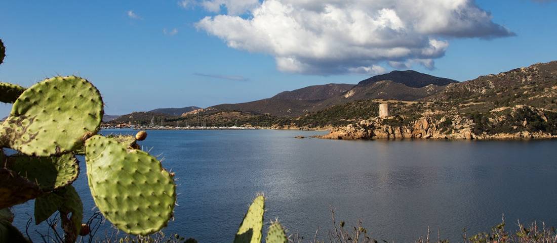 A Spanish Tower on Sardinia's South Coast