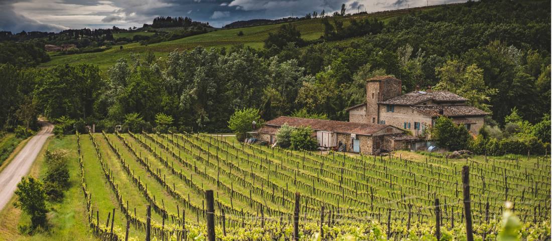 Classic Tuscany scenes abound as you walk along the Via Francigena in Tuscany |  <i>Tim Charody</i>