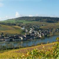 Cycle past lovely villages along the Moselle River in Luxembourg