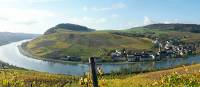 Cycle past lovely villages along the Moselle River in Luxembourg