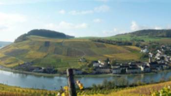 machtum-moselle-,Visit Luxembourg Cycle past lovely villages along the Moselle River in Luxembourg