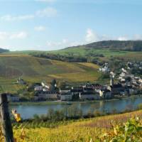 Cycle past lovely villages along the Moselle River in Luxembourg