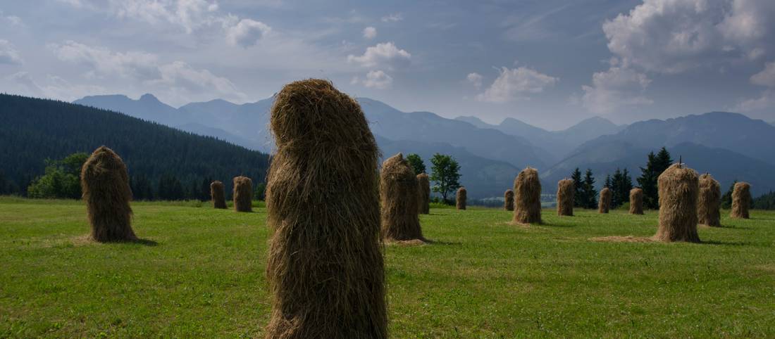 Unique Polish haystacks that make you do a double-take