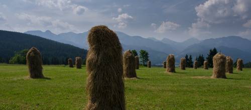 Unique Polish haystacks that make you do a double-take