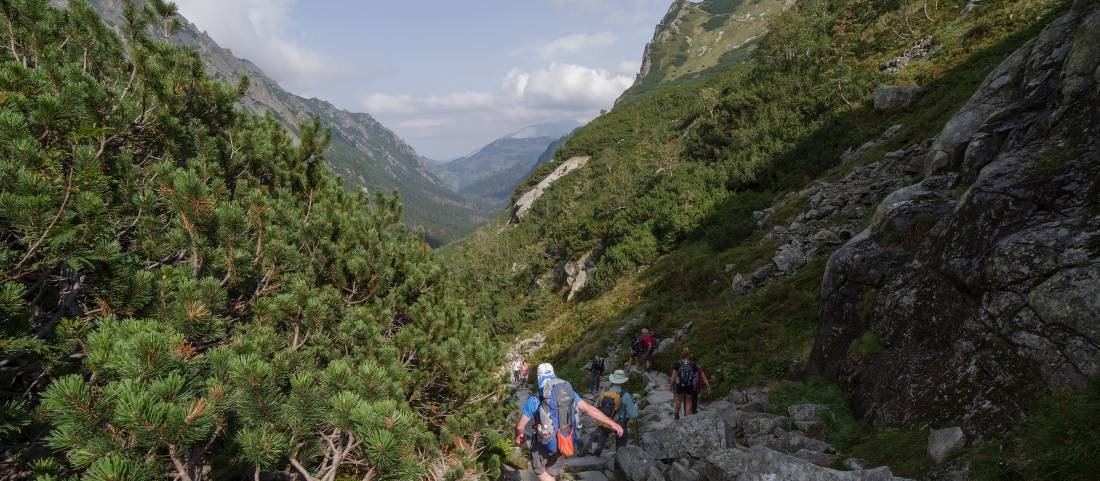 Following the path through a green valley in Poland