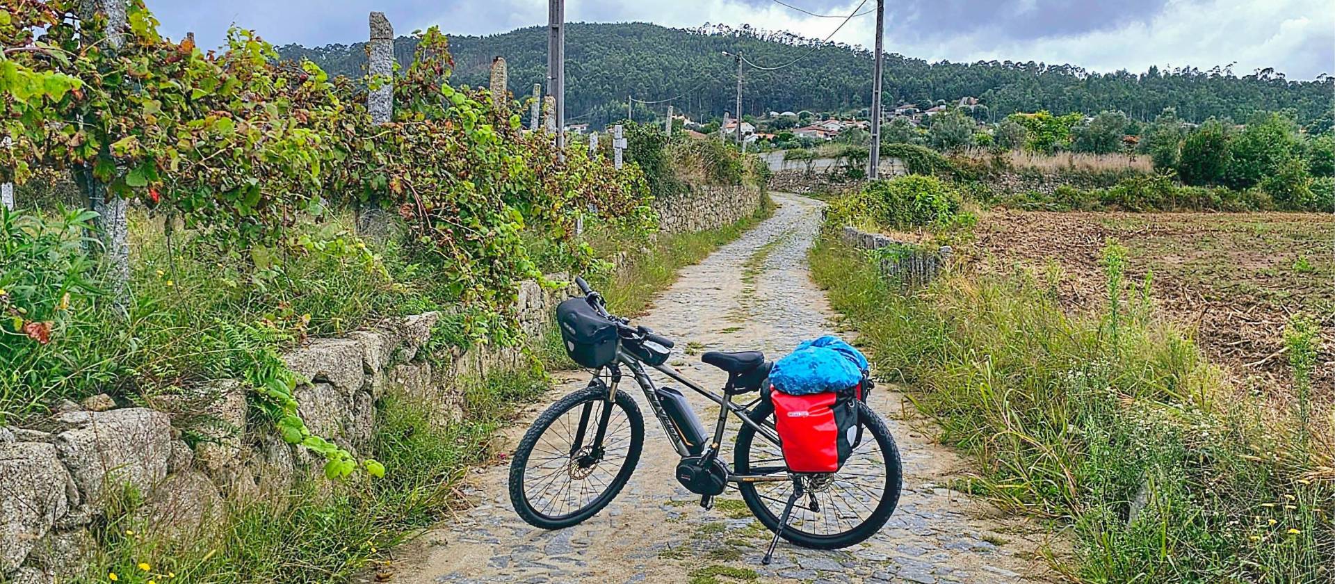 Long distance bicycle deals