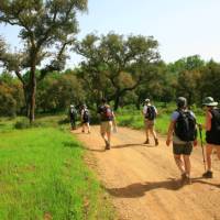 Walk the Rota Vicentina between Porto Covo and Odeceixe | John Millen