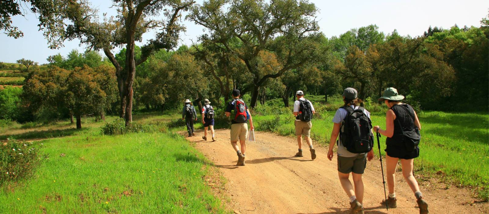 Walk the Rota Vicentina between Porto Covo and Odeceixe | John Millen