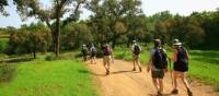 Walk the Rota Vicentina between Porto Covo and Odeceixe | John Millen