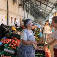 Market Day in Lisbon | Jaclyn Lofts