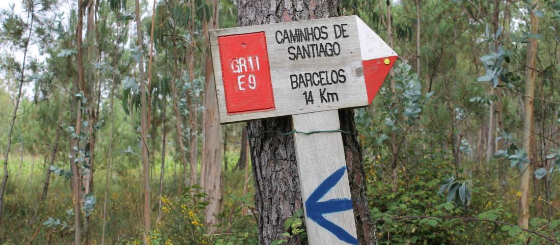 Sign on Portuguese Camino |  <i>Jaclyn Lofts</i>