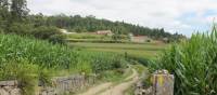 Countryside of Portugal along the Portuguese Camino tour | Jaclyn Lofts