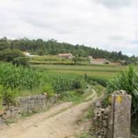 Countryside of Portugal along the Portuguese Camino tour | Jaclyn Lofts