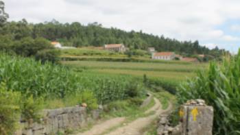 Countryside of Portugal along the Portuguese Camino tour