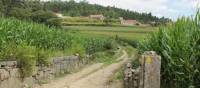 Countryside of Portugal along the Portuguese Camino tour | Jaclyn Lofts