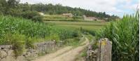 Countryside of Portugal along the Portuguese Camino tour |  <i>Jaclyn Lofts</i>