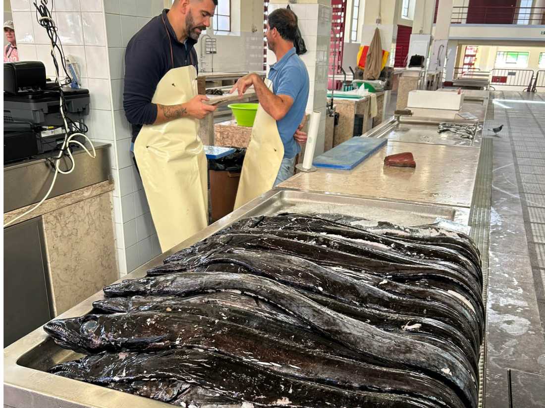 Fish market on Madeira