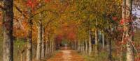 Walk through beautiful landscapes on the Portuguese Way between Coimbra and Porto | Antonio Sacchetti