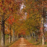 Walk through beautiful landscapes on the Portuguese Way between Coimbra and Porto | Antonio Sacchetti