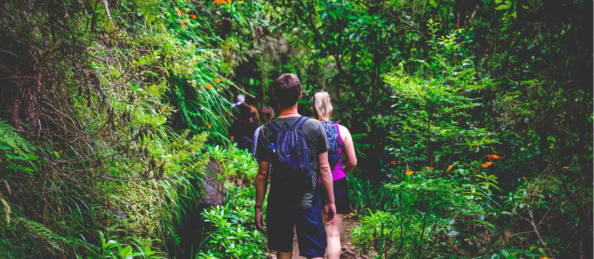 Discover the island of Madeira | Tim Charody