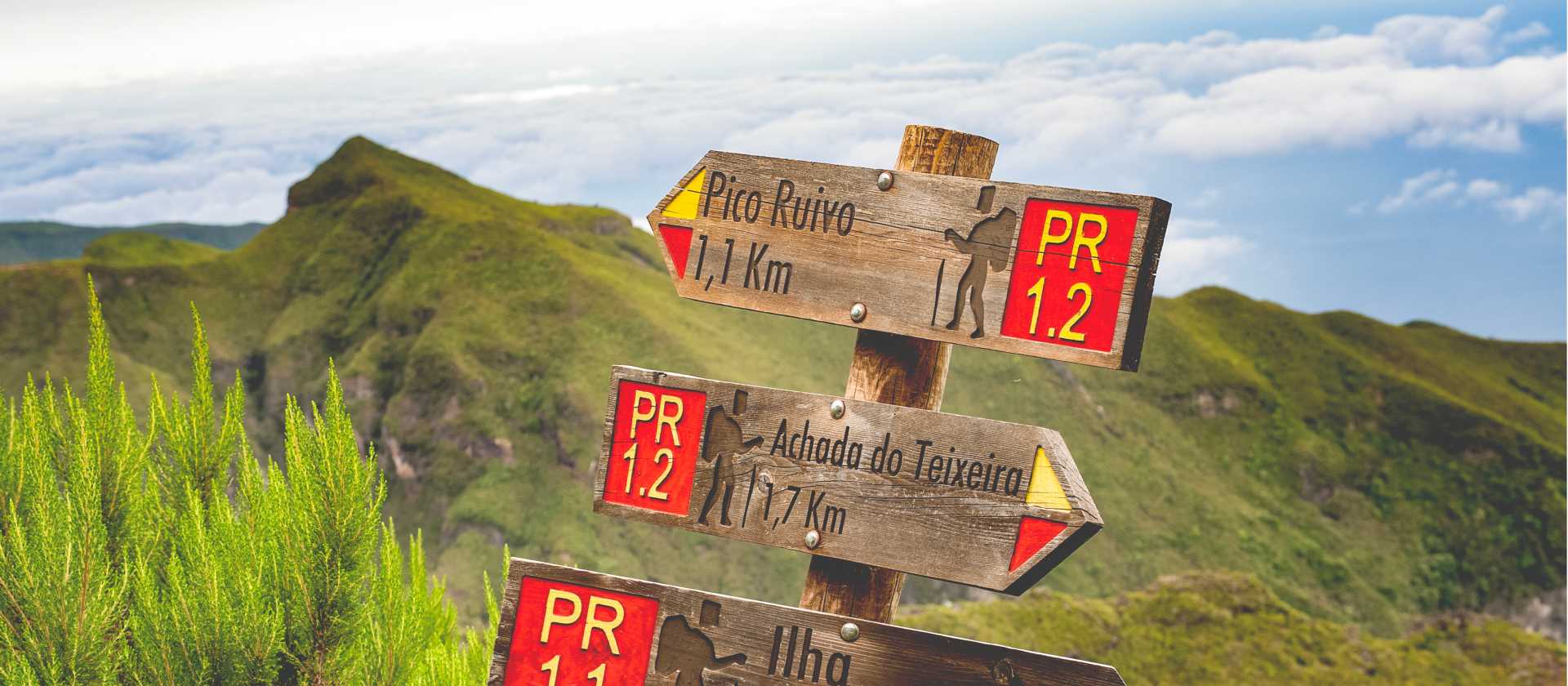 Discover the island of Madeira | Tim Charody