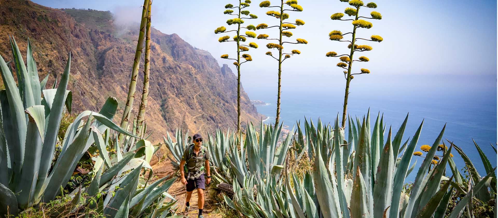 Discover the island of Madeira | Tim Charody