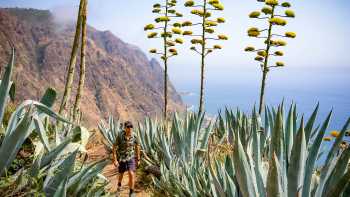 Discover the island of Madeira