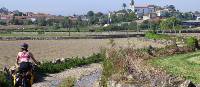 Explore the Portuguese countryside by bike for a genuine local experience | Pat Rochon
