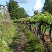 The Portuguese Camino offers a quieter alternative to the Camino in Spain | Pat Rochon