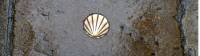 Camino shell in the pavement helps guide pilgrims |  <i>Pat Rochon</i>