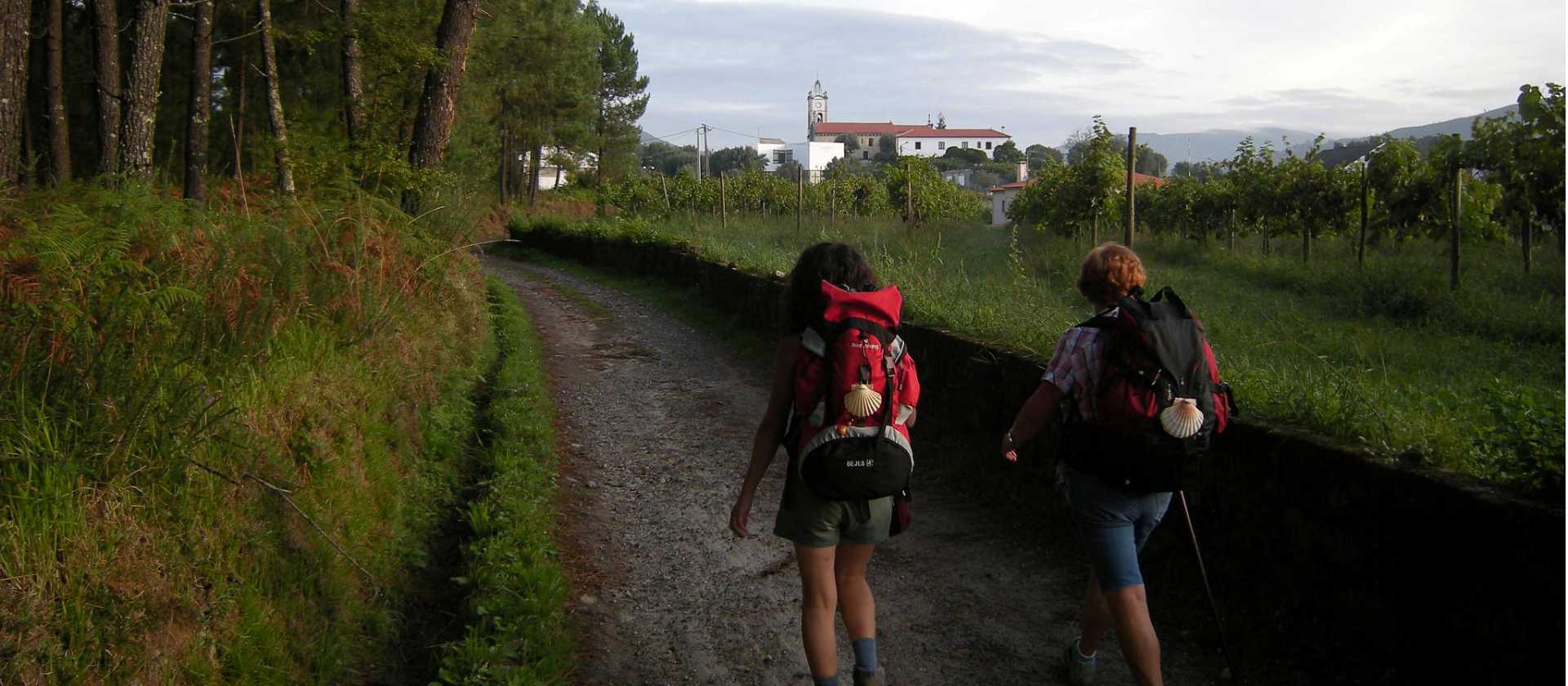 Pilgrims walking the Camino Portuguese. | José Antonio Gil Martínez