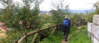 Enjoying a quiet stage of the Portuguese Camino along Portugal's coast.