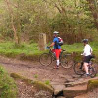 Cyclists on the Portuguese Camino