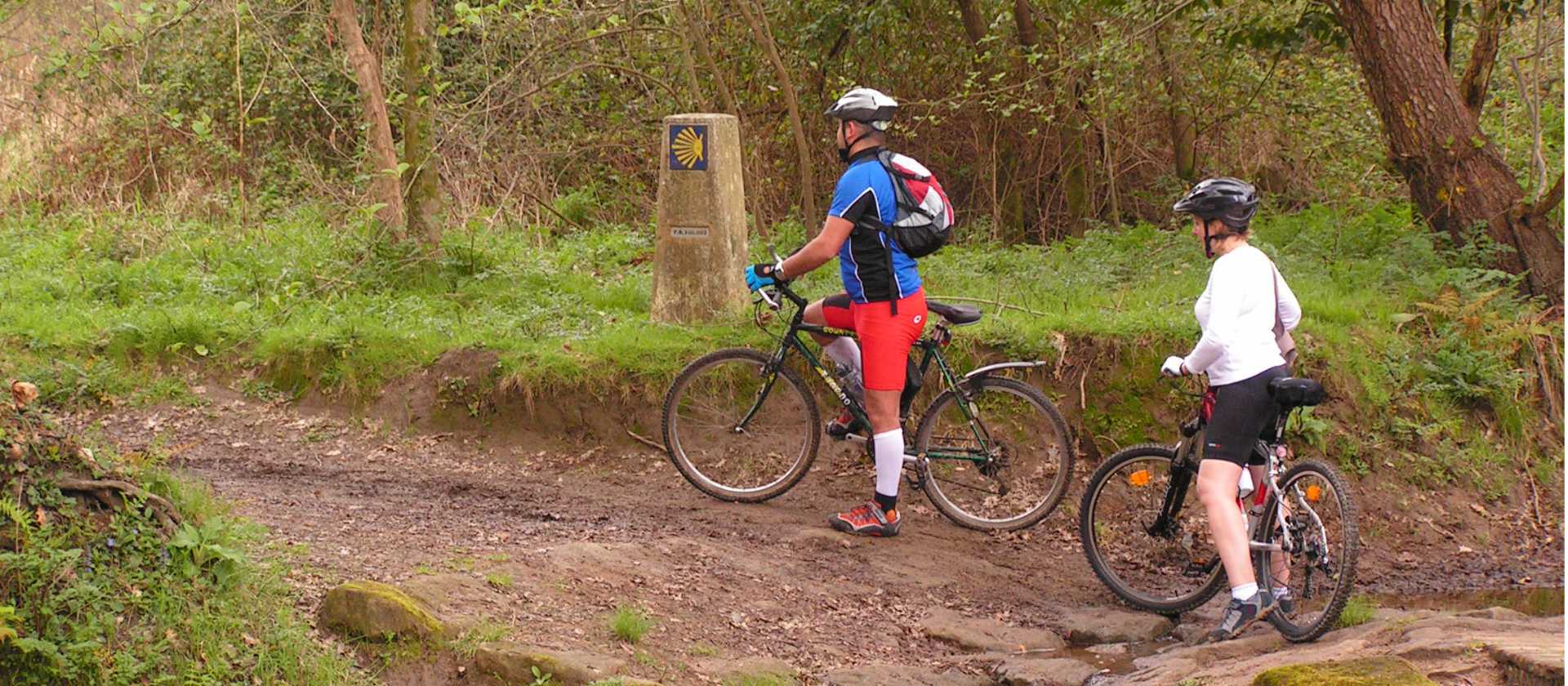 Cyclists on the Portuguese Camino