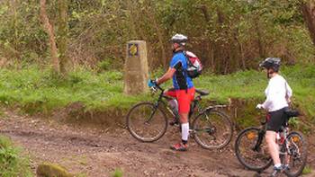 Cyclists on the Portuguese Camino