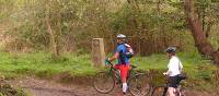 Cyclists on the Portuguese Camino