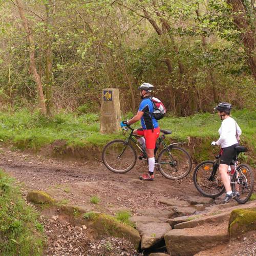 Camino de Santiago pilgrimage route: 'Sister Bicycle' – Motorists