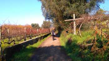 Portuguese Way Utacks (27),Tee Travel Exploring vineyards on the Camino Portuguese self guided walking tour that departs year-round