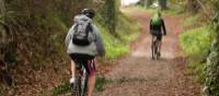 The Portuguese Camino offers quiet cycling trails